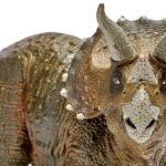 What Scientists Think This Hole Found In A Triceratops Really Means