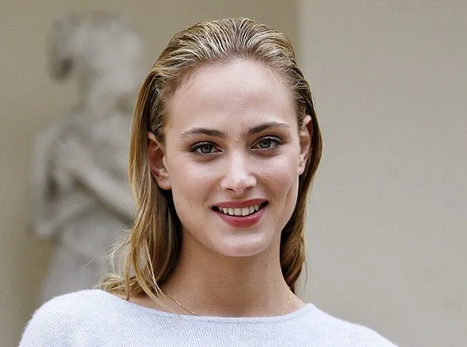 Nora Arnezeder Net Worth 2023